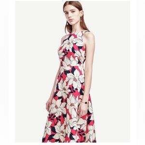 Ann Taylor Petite Floral Linen Blend Sleeveless Dress Size 8P Elegant Feminine